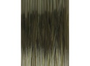 CS-Riga-Mortis-Green