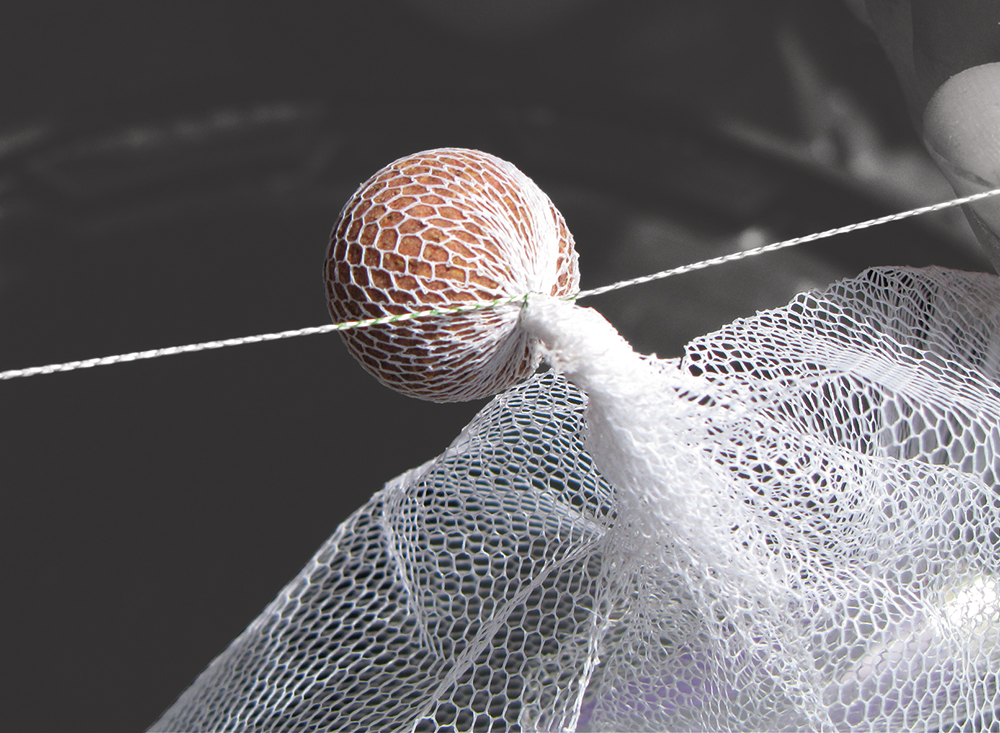CS-Cat-Crayfish-Net-Protector-Step-1