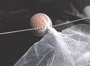 CS-Cat-Crayfish-Net-Protector-Step-1