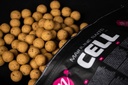 Boilies Cell