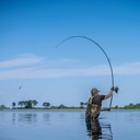 ap-0118_revolve-rods_14