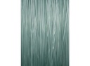 CS-Dressen-X-Clear-Green-Line