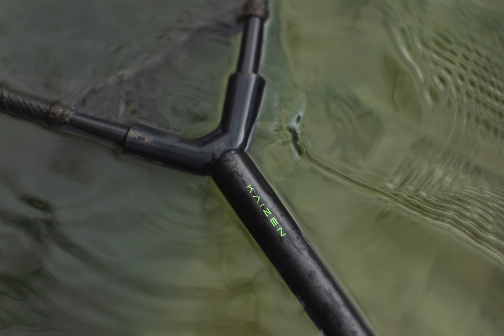 green6