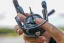 hx-pro-reels-42