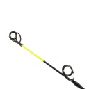 pp-11096-19