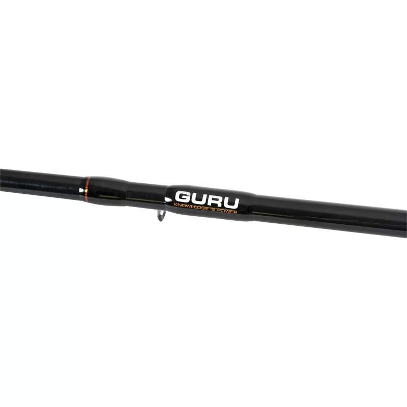 guru_GAC003_2_(1)