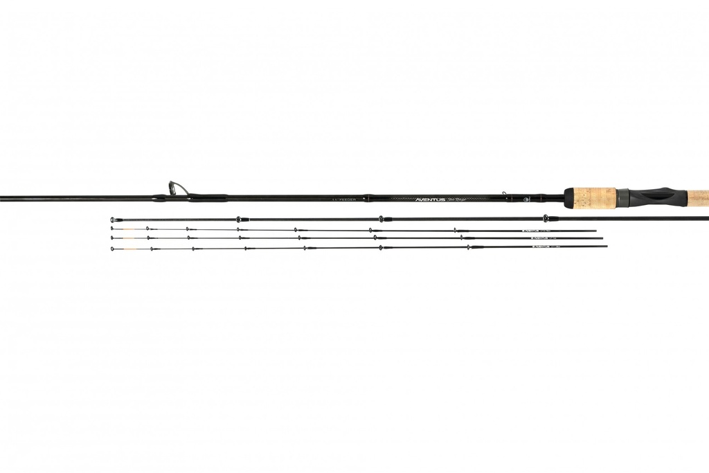 Aventus2