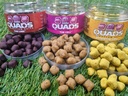 Quad Hookbait Cell 10mm_1