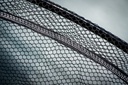 Barb Safe Net4