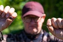 Korda Longshank Beaked 5