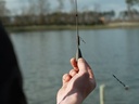 Korda Heli Safe 4