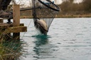 pp-11129--4