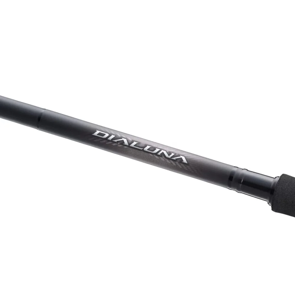 shimano-dialuna-casting-spinning-inshore-6