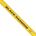 black-cat-black-passion-g2-spin-27m-50-200g~5