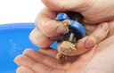 pol_pm_Preston-Quick-Cone-and-Bait-Mould-M-36546_4
