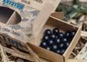Rubber Beads black_1