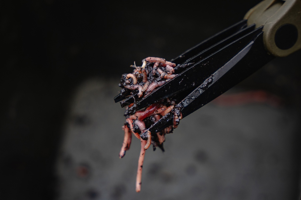 ap-a0640100_wormchoppers-02_productlifestyleimage1