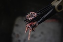 ap-a0640100_wormchoppers-02_productlifestyleimage1