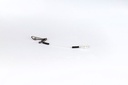 8cm Standard Feeder Link 0,45mm 3Stk.
