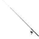 Feeder Combo 2.1m 30g 2000 FD 0.23mm Mono