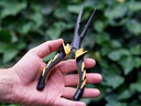 SPLIT RING PLIERS 18CM
