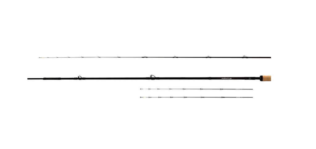 Aventus R 10'0" 2pc Distance Feeder 1-80g